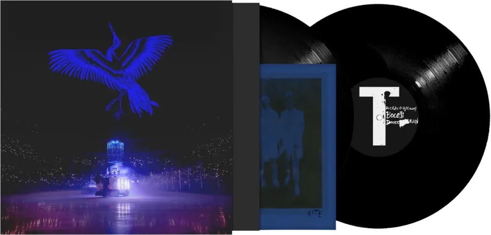 Kite on Ice — 2x12" black vinyl